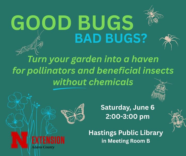 Good Bugs Bad Bugs workshop flyer with insects, pollinator themes, and event details for June 6.