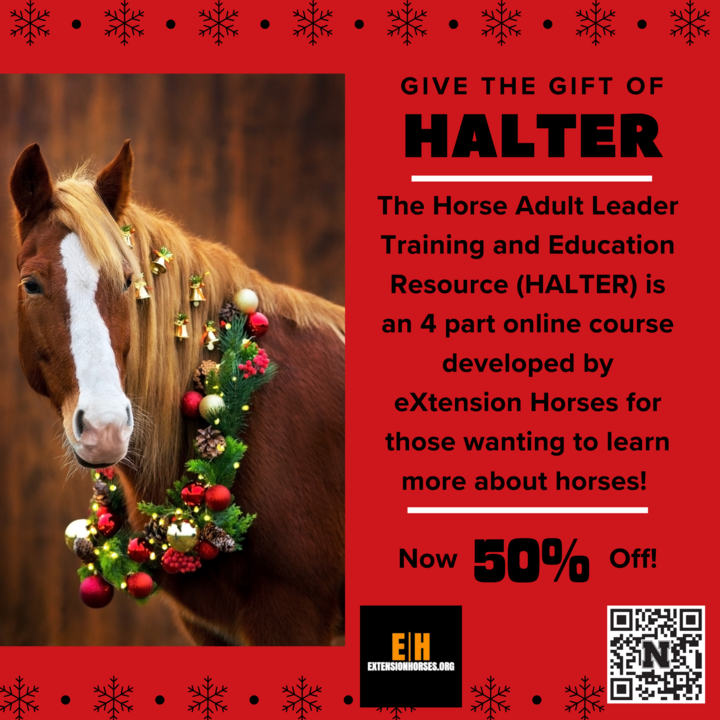 Online resources for adult volunteers working with youth and horses