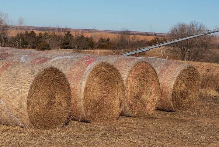 Hay Bales