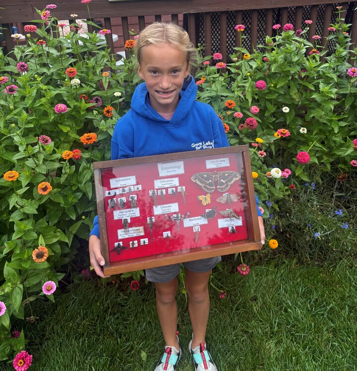 Knox County Entomology