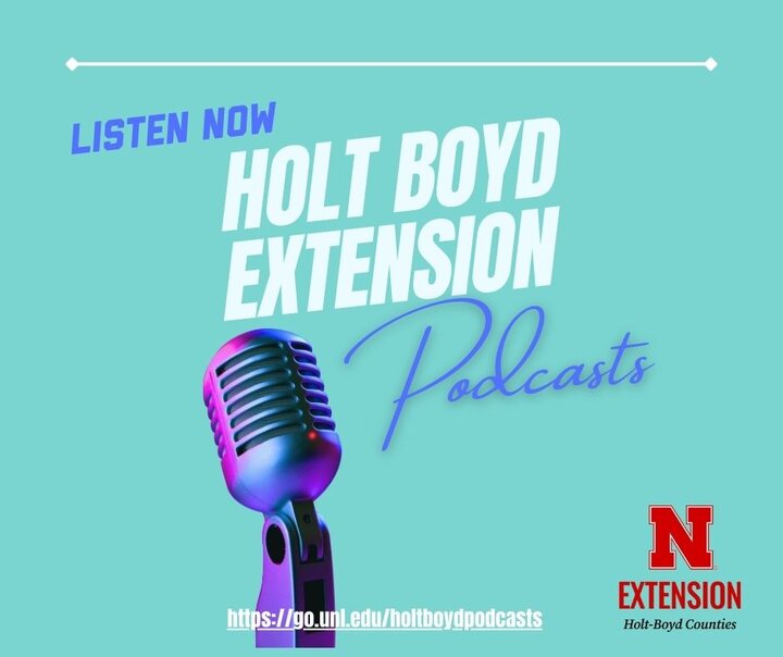 Holt Boyd Extension Podcasts