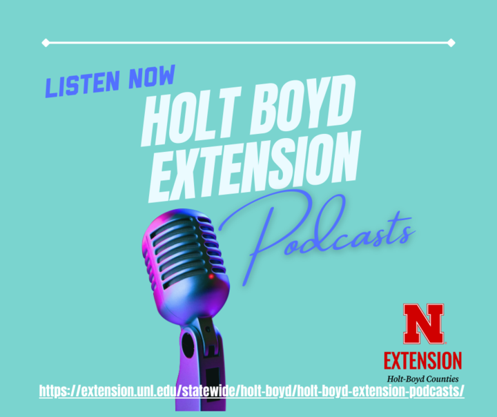 Holt Boyd Extension Podcasts