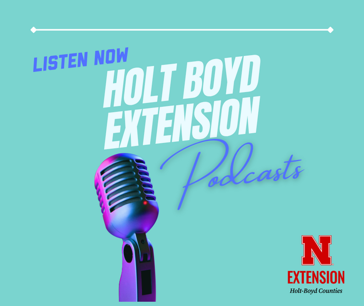 Holt Boyd Extension Podcasts