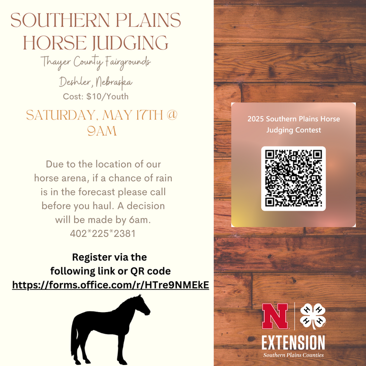Southern Plain Horse Judging