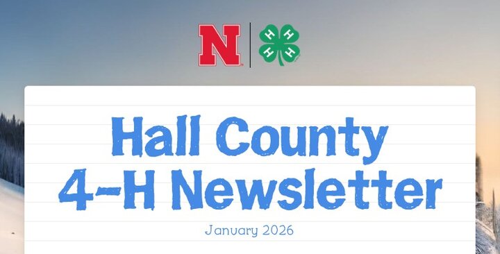 Hall County 4-H Newsletter graphic
