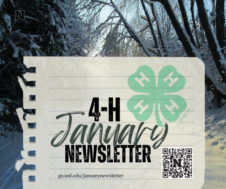 Holt Boyd 4-H January Newsletter