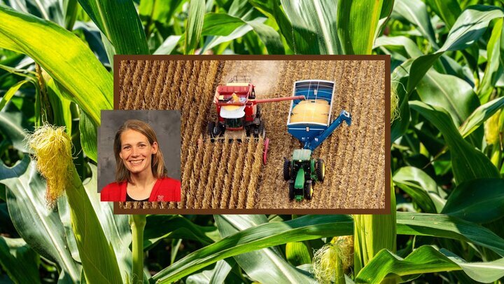 Cornfield background with harvesting machinery; inset shows a portrait of Jenny Brhel.