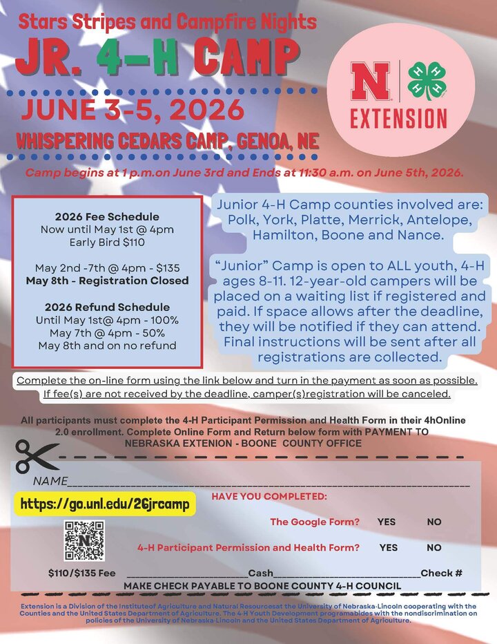 Flyer for Junior 4-H Camp