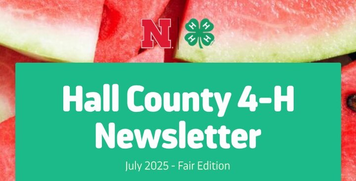 Hall County 4-H Newsletter graphic