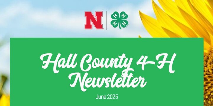 Hall County 4-H Newsletter graphic