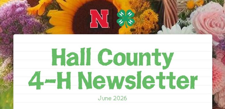 Hall County 4-H Newsletter banner with sunflowers and floral background, June 2026.