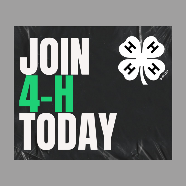 Join 4-H Today