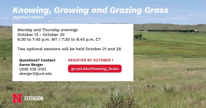 Knowing, Growing, and Grazing Grass Webinar series is at the top in white letters. There is a background of grassland behind. In a white box reads "Monday and Thursday Evenings". October 13 - October 30. 6:30 to 7:45pm MT / 7:30 to 8:45pm CT. Two optional sessions will be held October 21 and 28. Questions contact Aaron Berger. 308-235-3122. aberger2@unl.edu. Register by October 1. go.unl.edu/knowing_grass