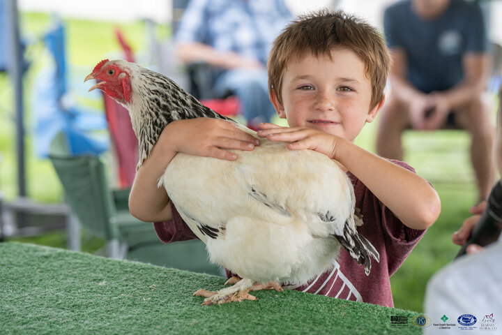 Poultry show exhibitor with chicken