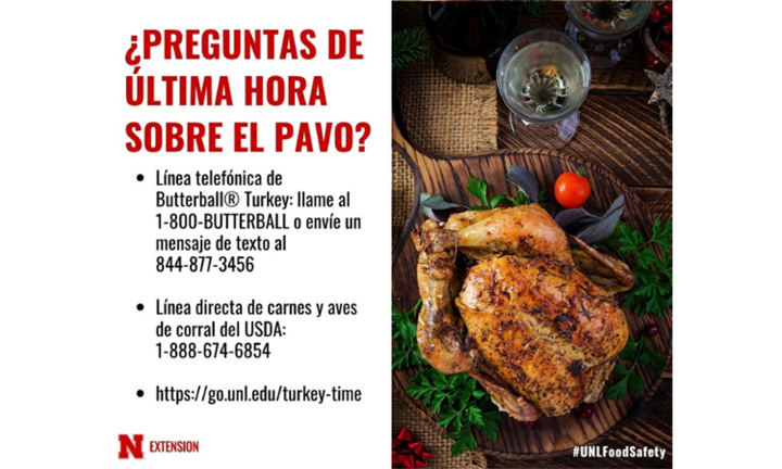 Last Questions - Spanish