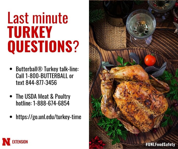 Hotlines for last minute turkey questions