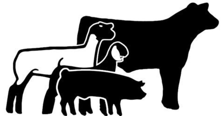 Silhouettes of a cow, goat, sheep, and pig overlapping in black and white.