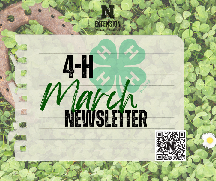 Holt Boyd 4-H March Newsletter