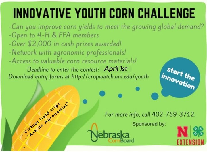 Innovative Youth Corn Challenge flyer