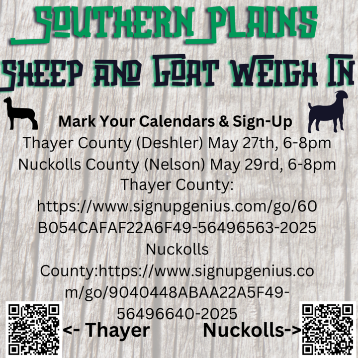 Sheep and Goat Weigh In