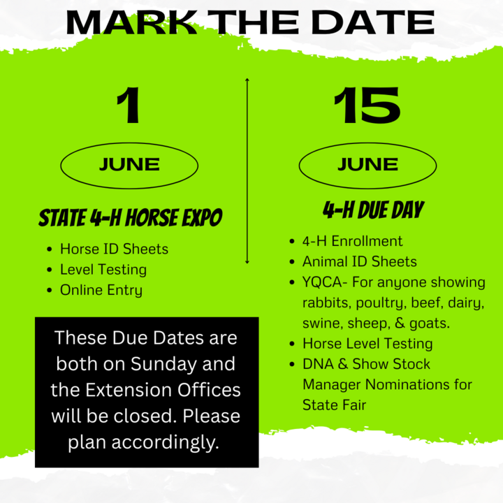Mark the Date