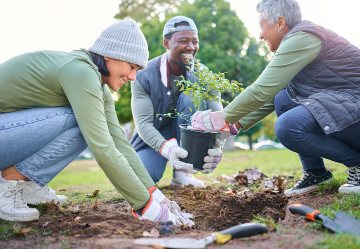 People gardening