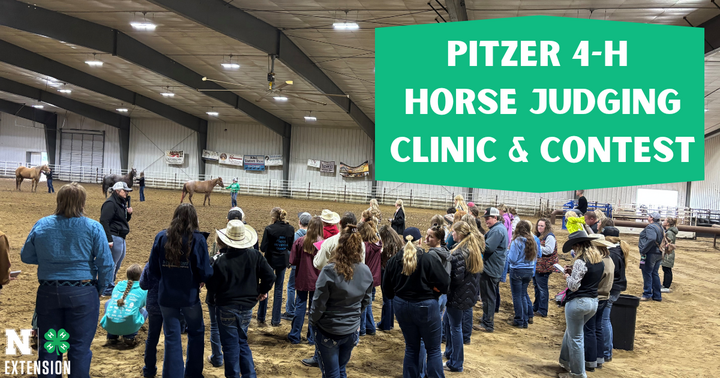 4-H Horse Judging Clinic