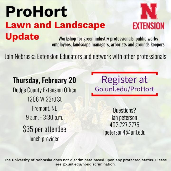 Lawn and Landscape Update Flyer