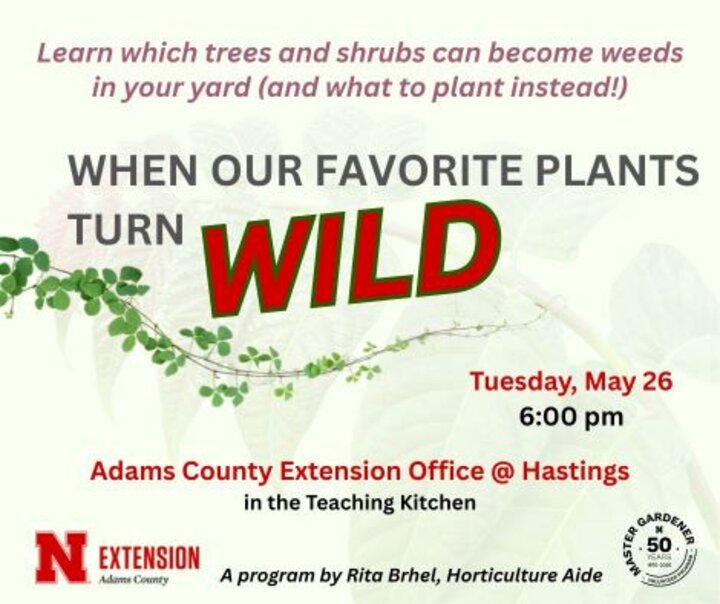 Text graphic featuring a horticulture workshop announcement with greenery accents and logos. Will be held Tuesday, May 26th at 6:00 PM in the Adams County Extension Office