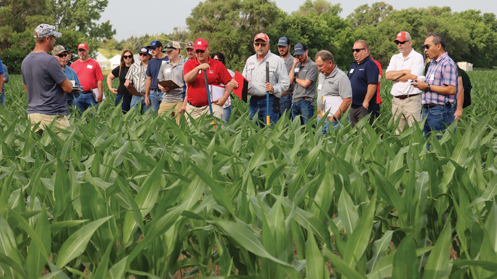 Ag Producers in Corn Field