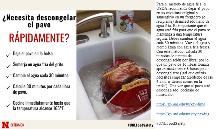 Quickly Thaw Turkey - Esp