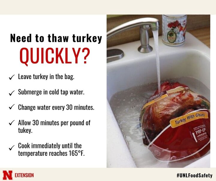 How to thaw turkey quickly
