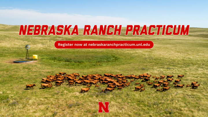 Ranch Practicum
