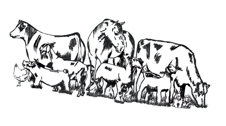 Livestock