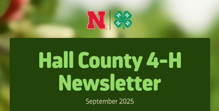 Hall County 4-H Newsletter graphic