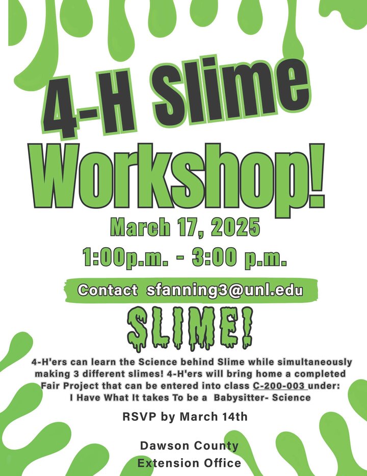 Dawson County Slime Workshop