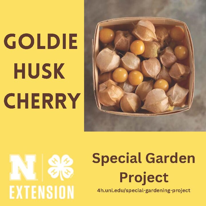 Special Garden Project