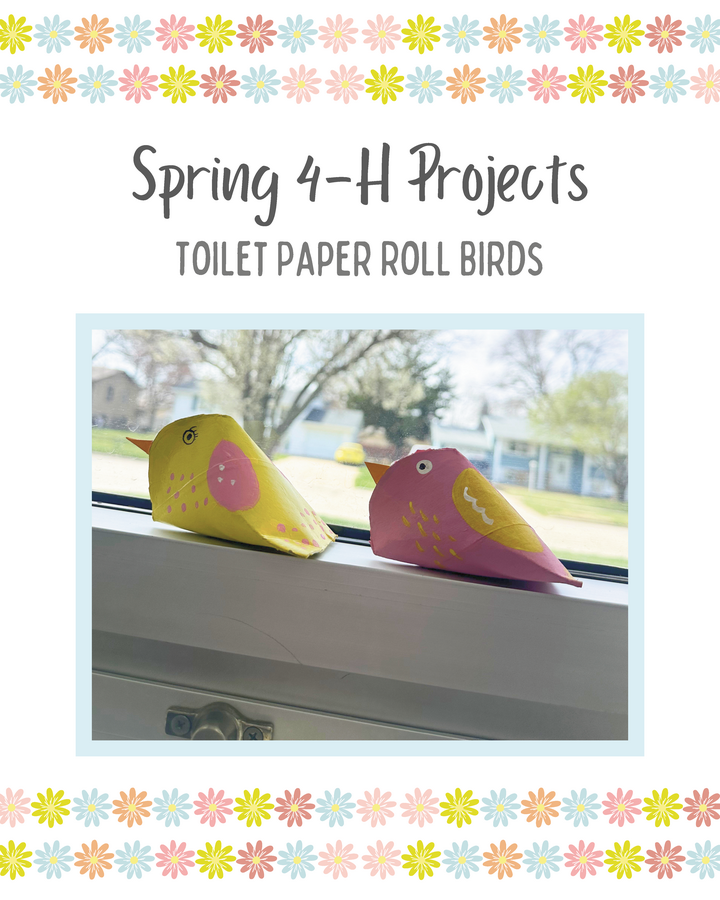 Toilet Paper Roll Birds