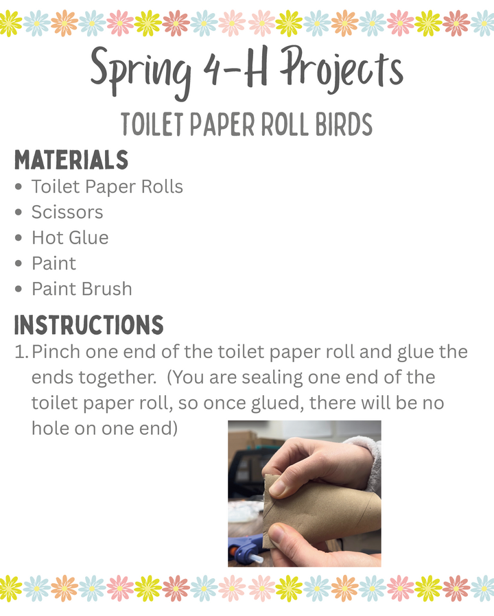Toilet Paper Roll Bird directions page 2