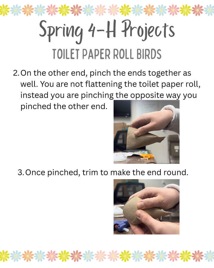 Toilet Paper Roll Birds directions page 3