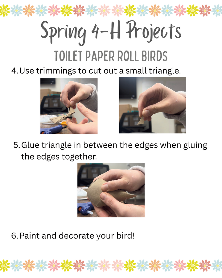 Toilet Paper Roll Birds directions page 4