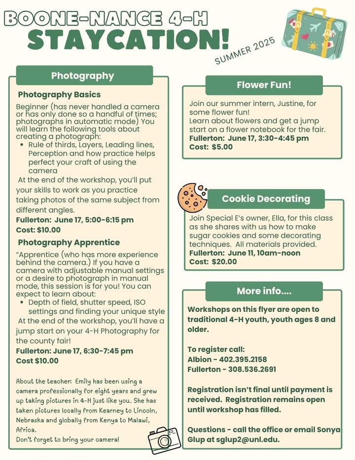 flyer for summer workshops