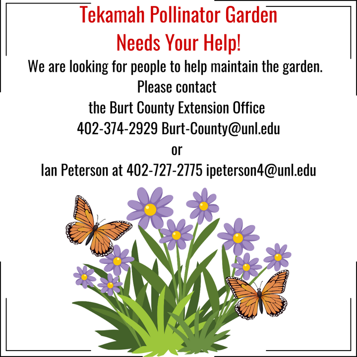 Tekamah Pollinator Garden flyer with purple flowers, orange butterflies, and contact details.