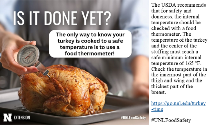 Turkey Safe Temp