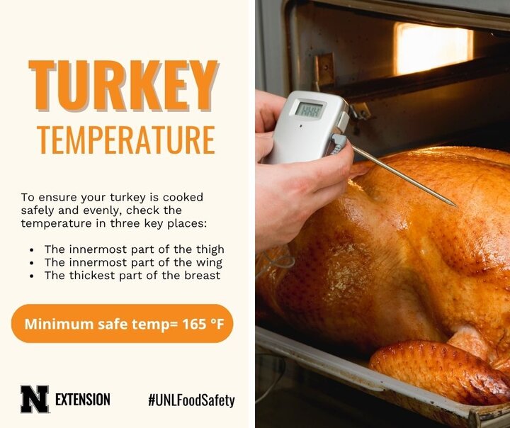 How to check temperatures on cooked turkey
