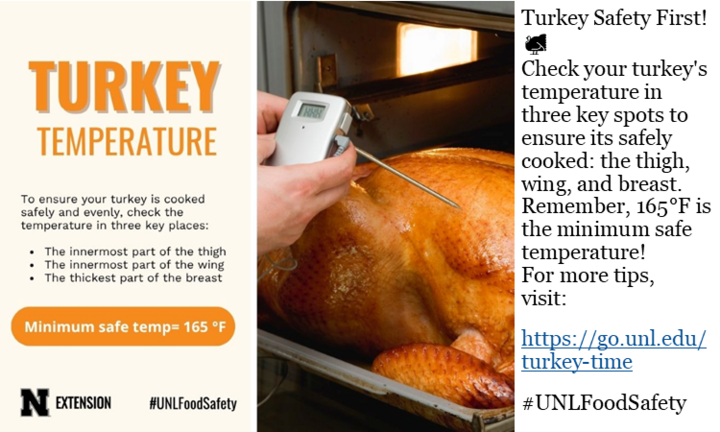 Turkey Temps