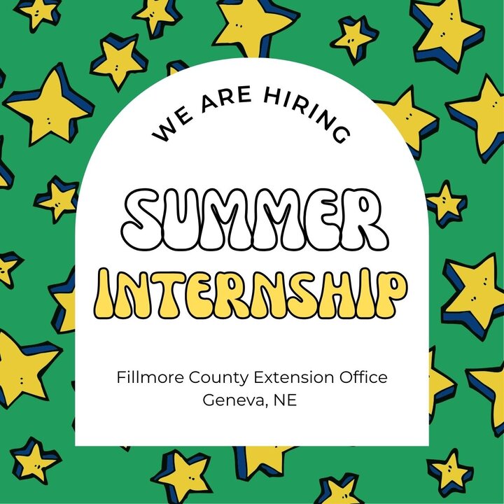 Summer Internship