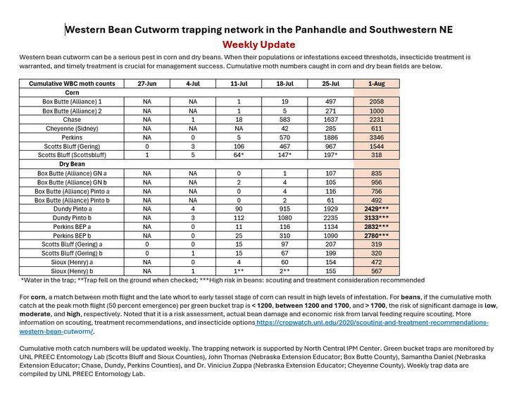 Western bean cutworm monitoring July 25 - August 1