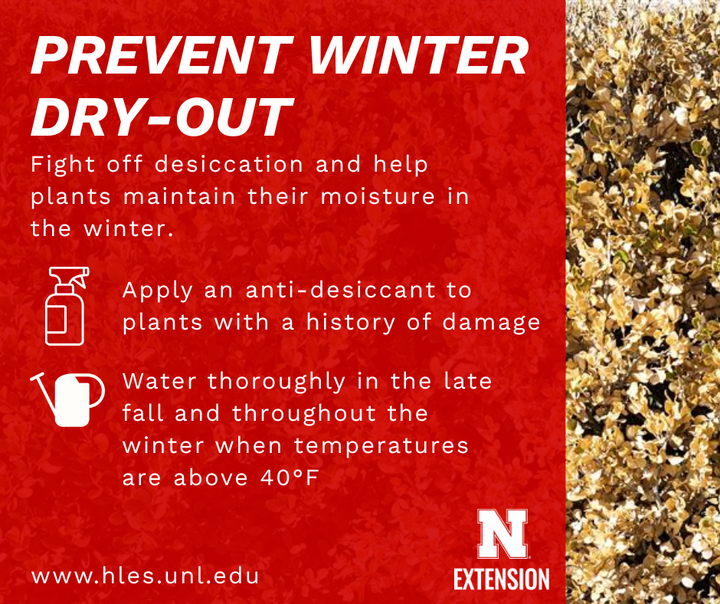 Tips on preventing winter dry-out 