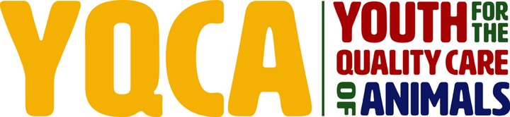 YQCA Horizontal
